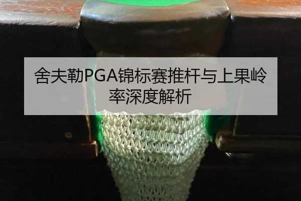 she-fu-lei-jin-biao-sai-tui-gan-yu-shang-guo-ling-lv-shen-du-jie-xi-3-437.jpg
