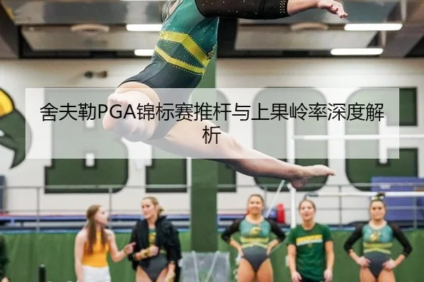 舍夫勒PGA锦标赛推杆与上果岭率深度解析